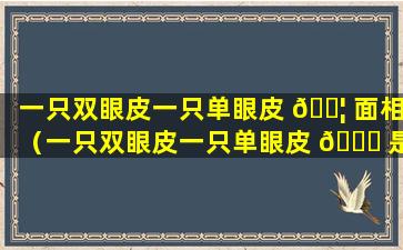 一只双眼皮一只单眼皮 🐦 面相（一只双眼皮一只单眼皮 🐞 是什么基因）